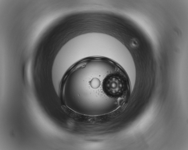 X0000113960189200909251408