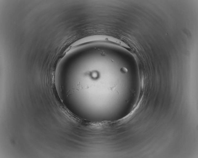 X0000113960190200909251408