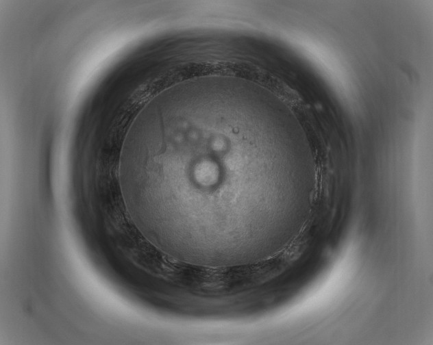 X0000113960191200909251408