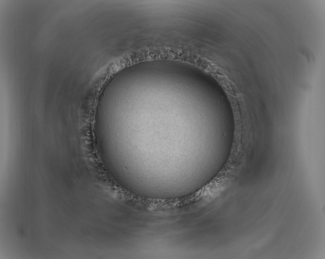 X0000113960192200909251408