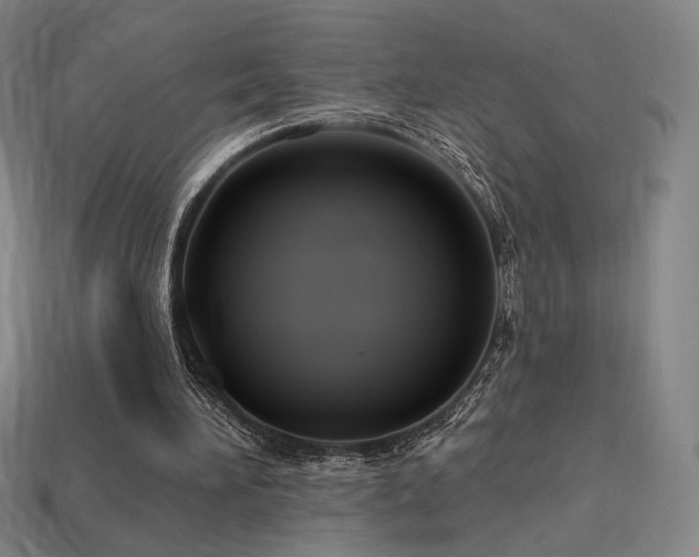 X0000113960196200909251407