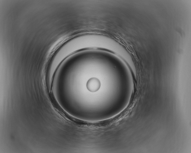 X0000113960197200909251407