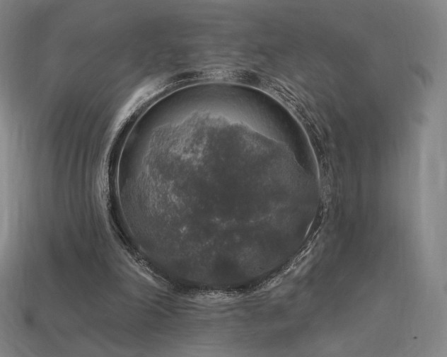 X0000113960198200909251407