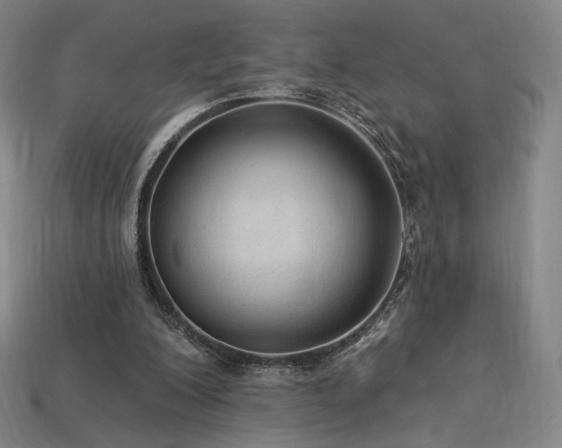 X0000113960200200909251407