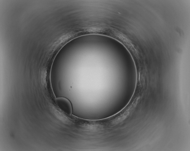 X0000113960201200909251407