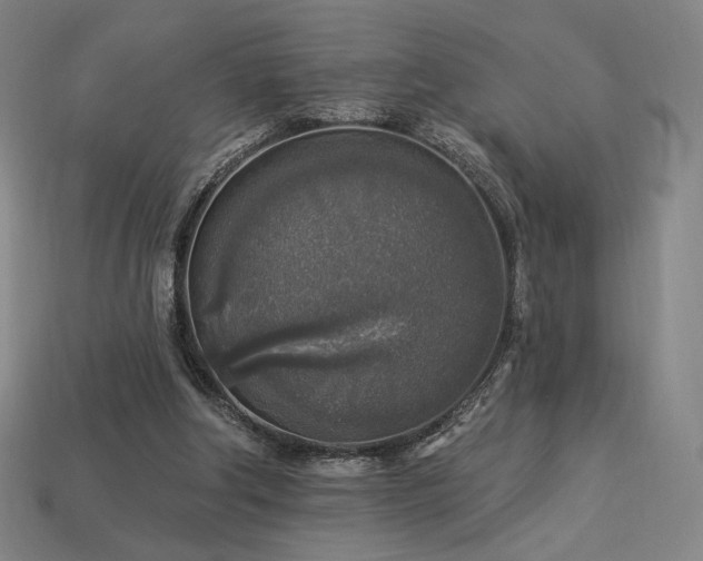 X0000113960202200909251407