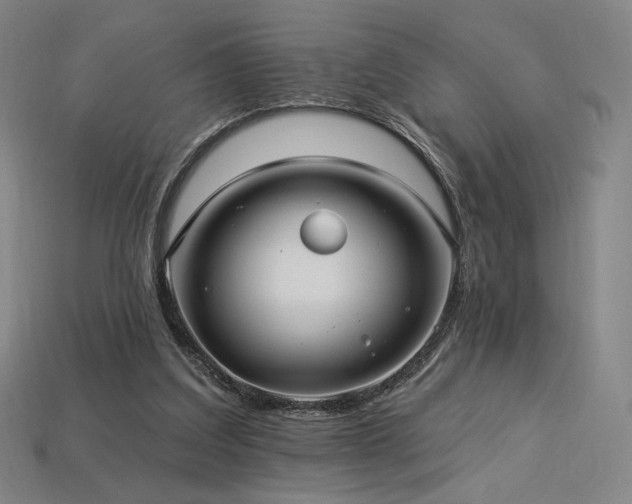 X0000113960203200909251407