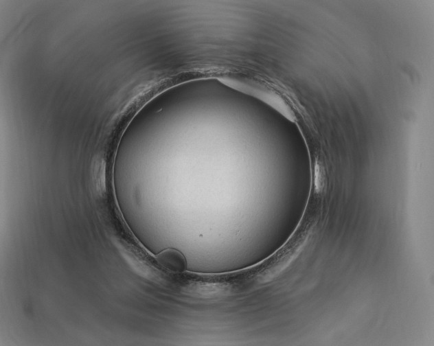 X0000113960205200909251407