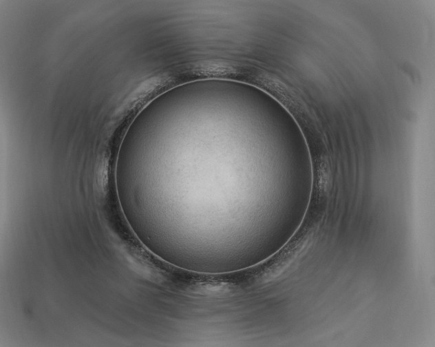 X0000113960206200909251407