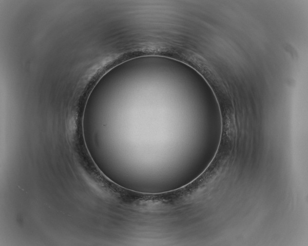 X0000113960208200909251407