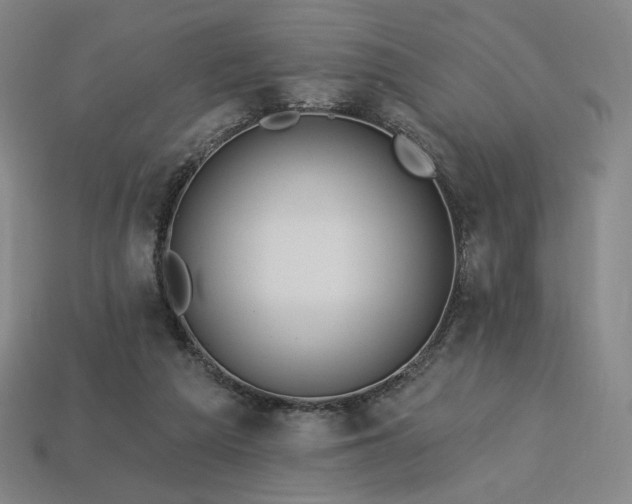 X0000113960209200909251407