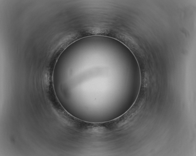 X0000113960210200909251407