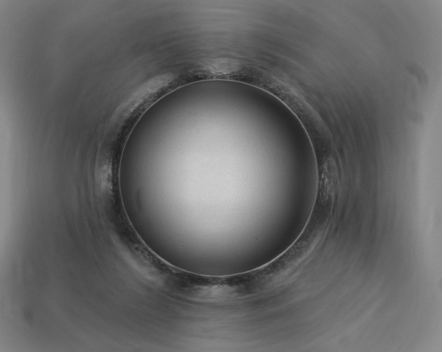 X0000113960212200909251407