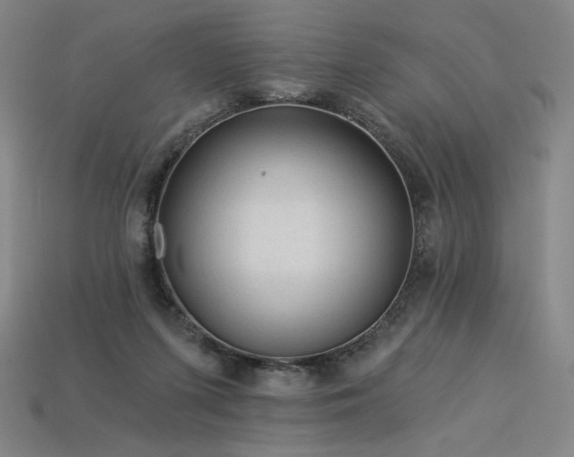 X0000113960215200909251407