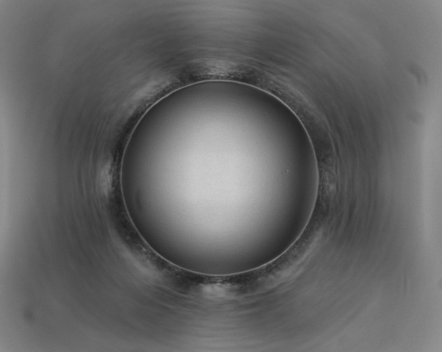 X0000113960216200909251407