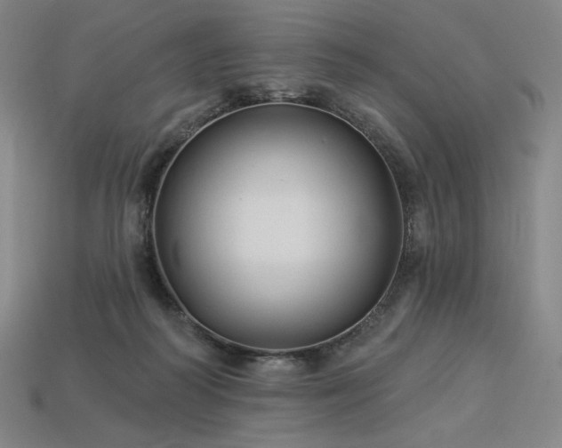 X0000113960218200909251407