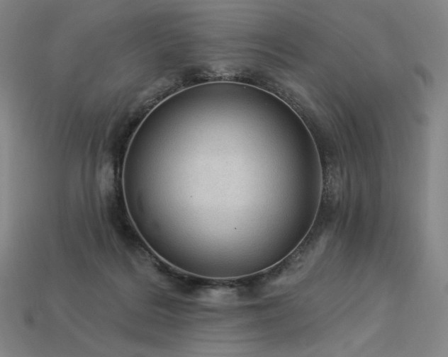 X0000113960220200909251407