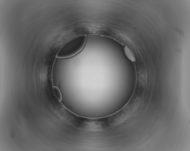 X0000113960221200909251407