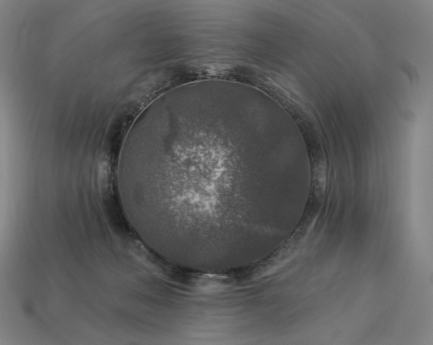 X0000113960222200909251407