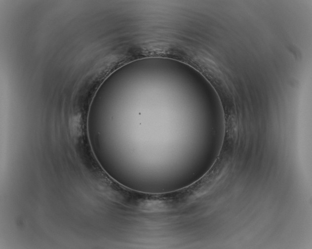 X0000113960224200909251407