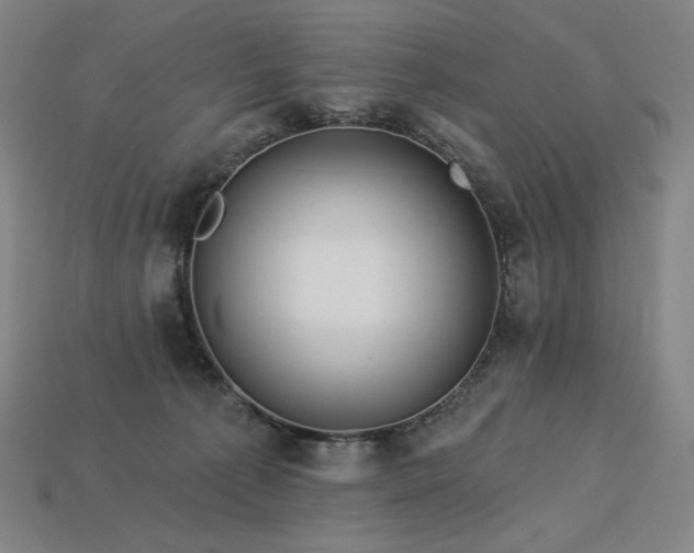 X0000113960225200909251407