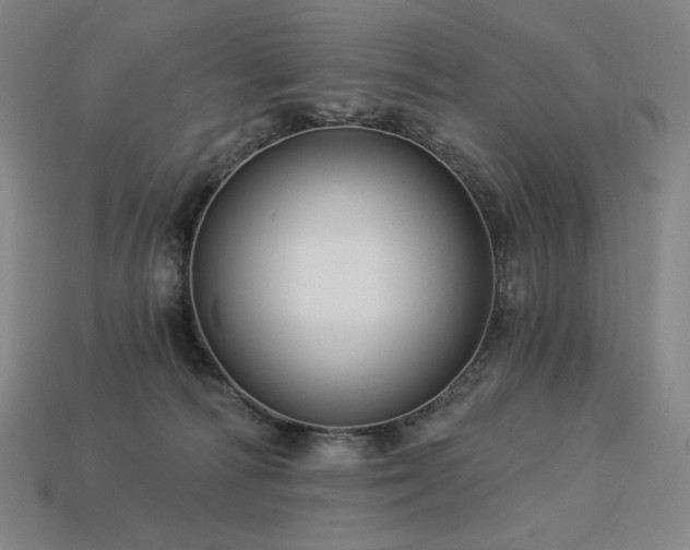 X0000113960226200909251407