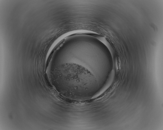 X0000113960235200909251407