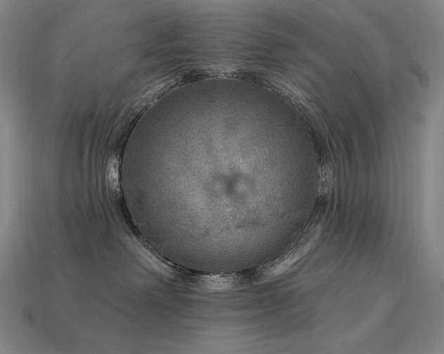 X0000113960238200909251407