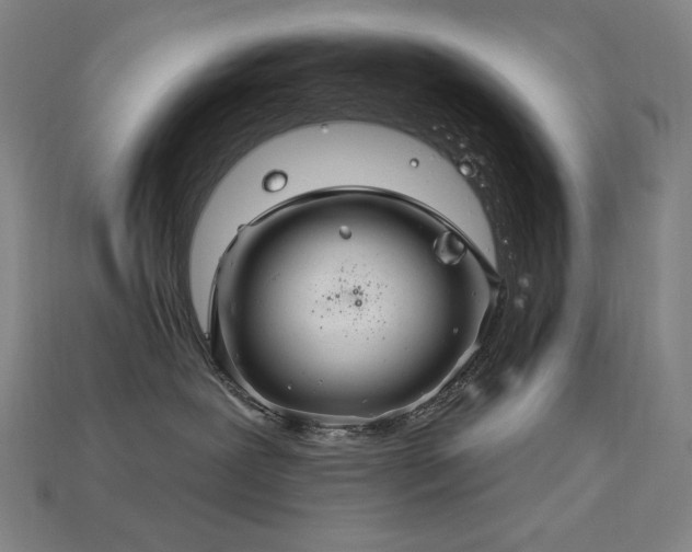 X0000113960239200909251407