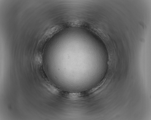 X0000113960240200909251407