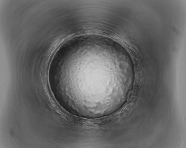 X0000113960241200909251406