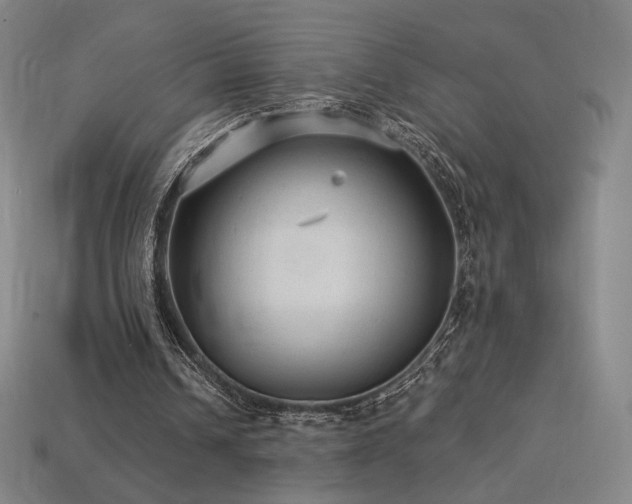 X0000113960242200909251406