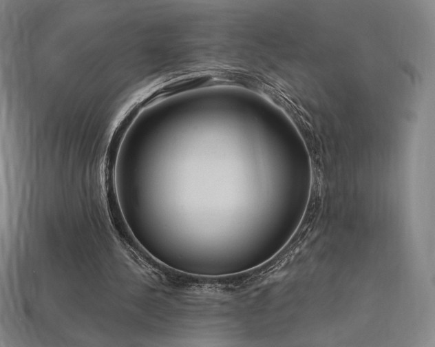 X0000113960244200909251406