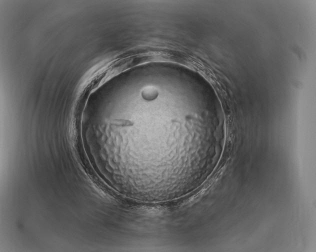 X0000113960245200909251406