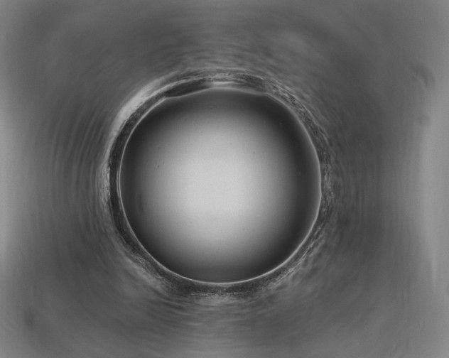 X0000113960246200909251406