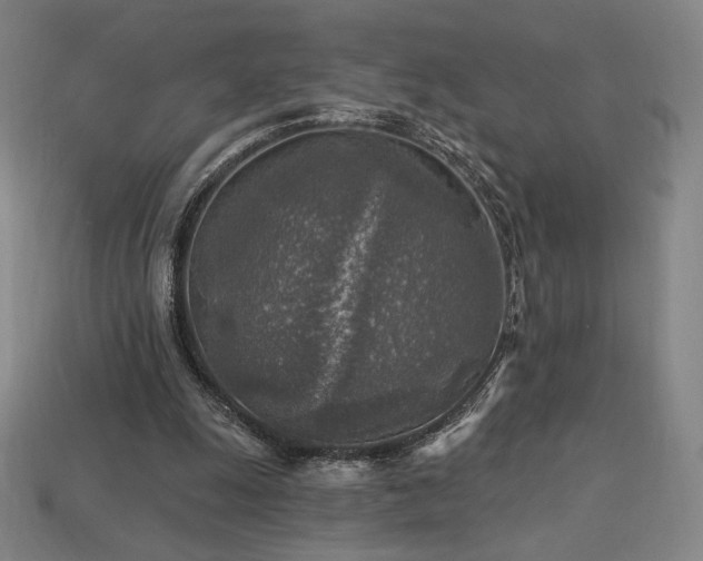 X0000113960247200909251406