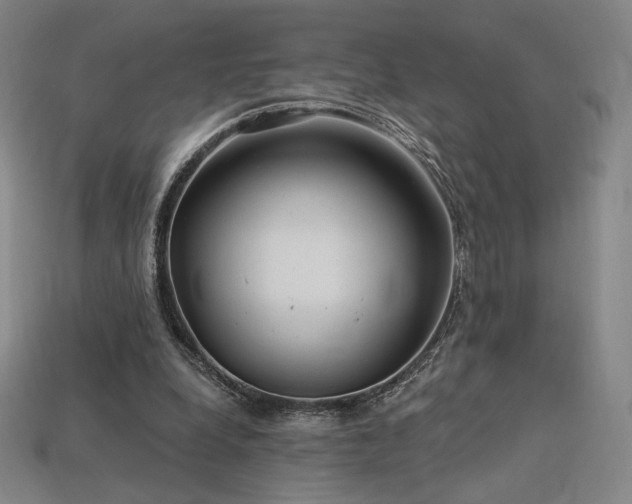 X0000113960248200909251406