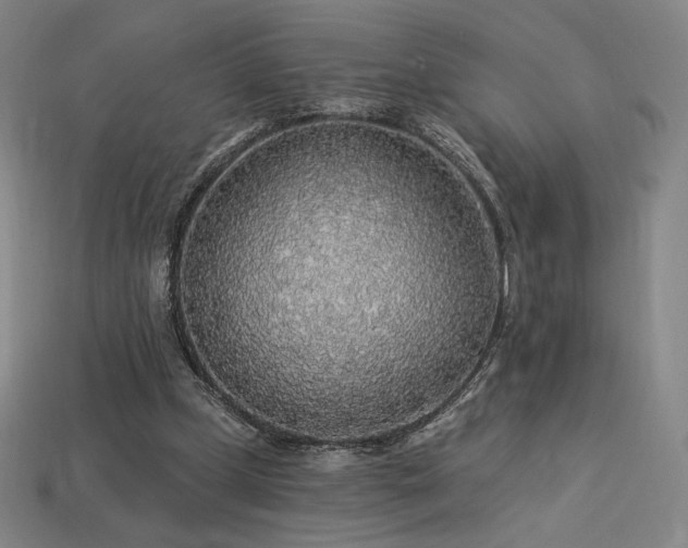 X0000113960249200909251406