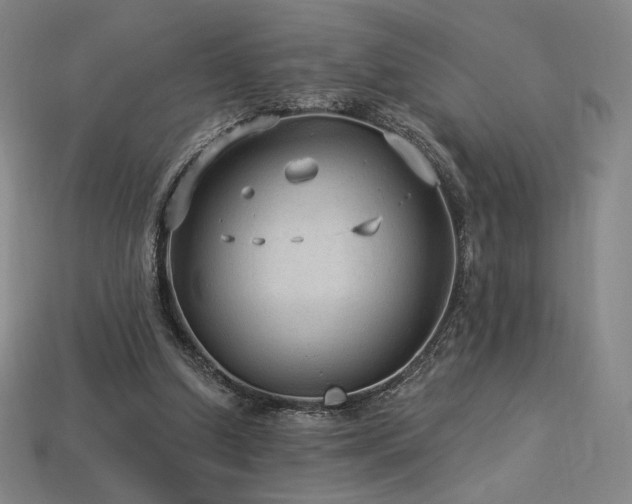 X0000113960250200909251406