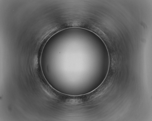 X0000113960251200909251406