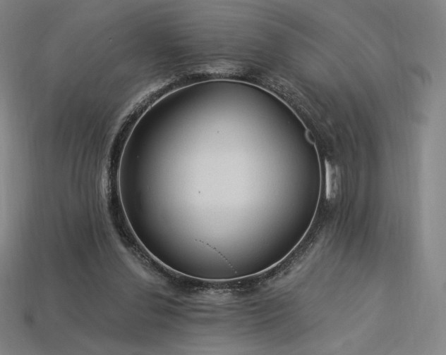 X0000113960252200909251406