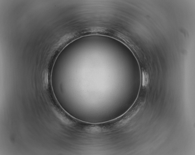 X0000113960253200909251406