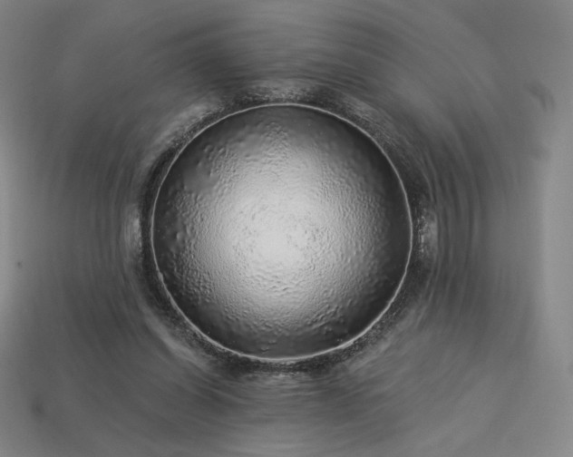 X0000113960254200909251406