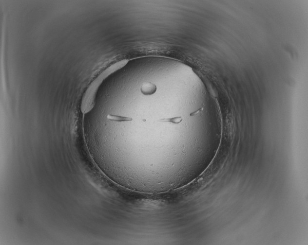 X0000113960255200909251406