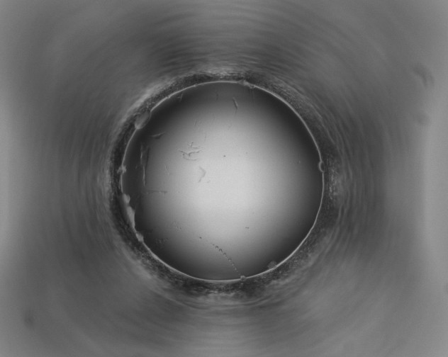 X0000113960256200909251406