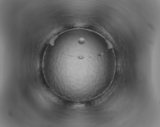 X0000113960257200909251406