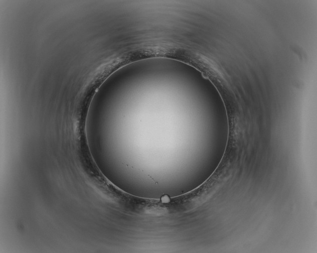 X0000113960258200909251406