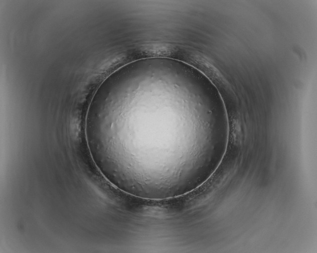 X0000113960259200909251406