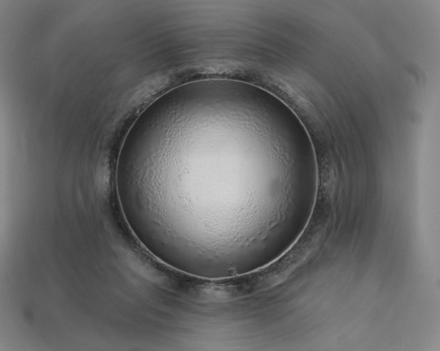 X0000113960261200909251407