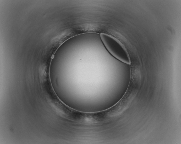 X0000113960264200909251407